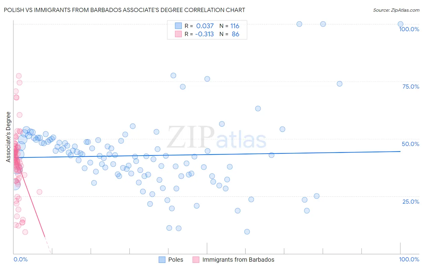 Polish vs Immigrants from Barbados Associate's Degree