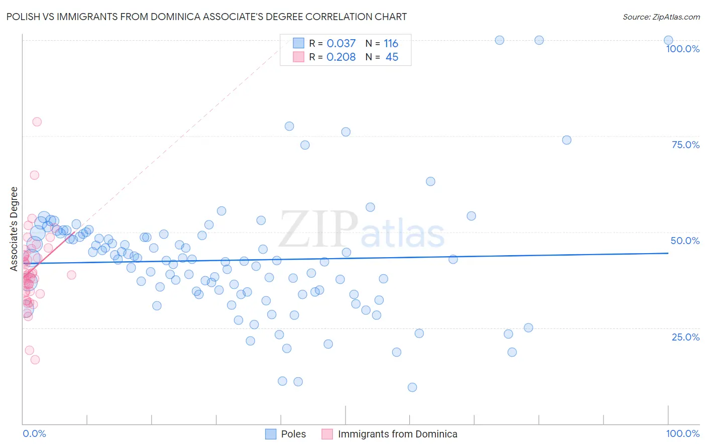 Polish vs Immigrants from Dominica Associate's Degree