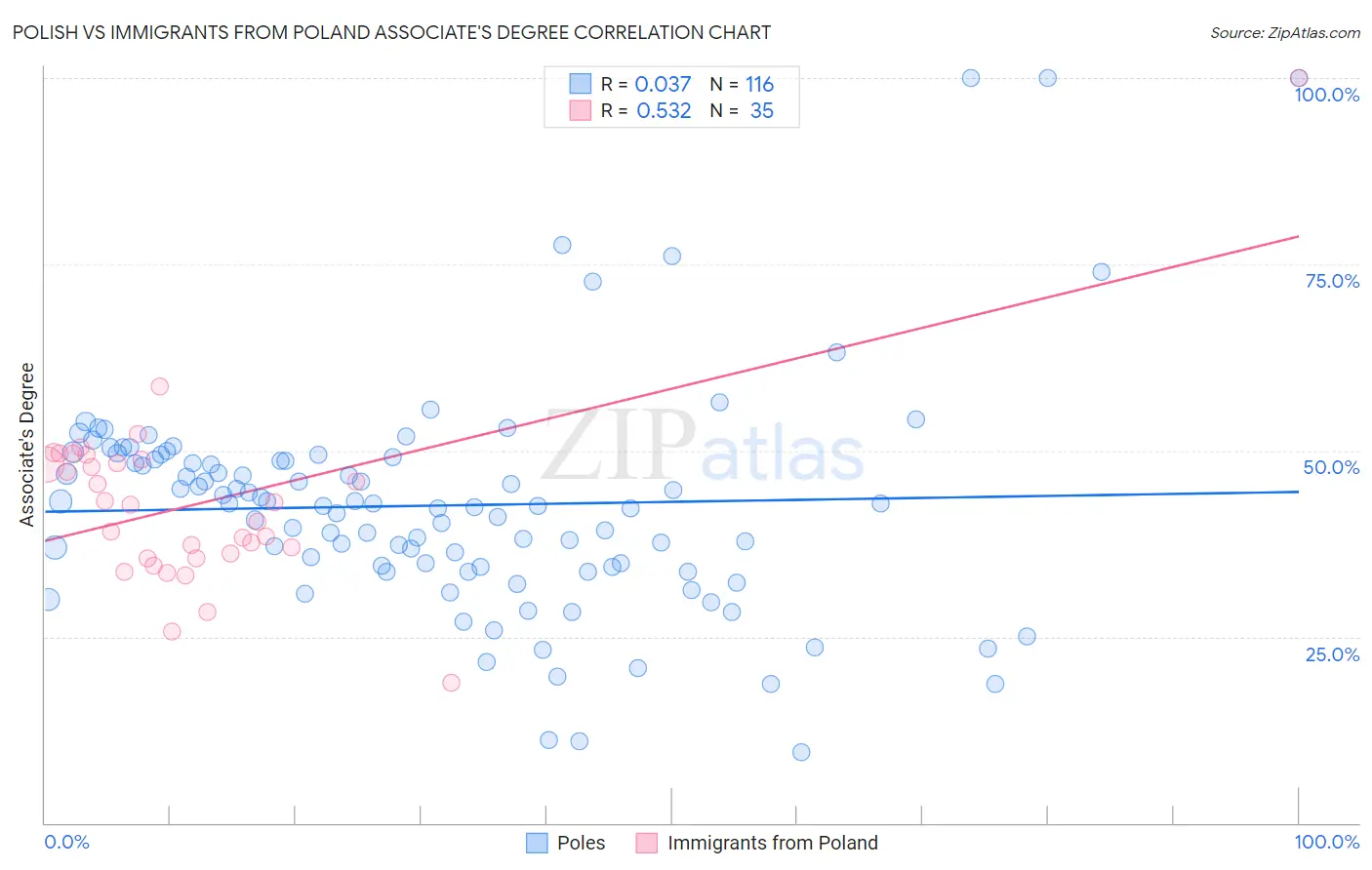Polish vs Immigrants from Poland Associate's Degree