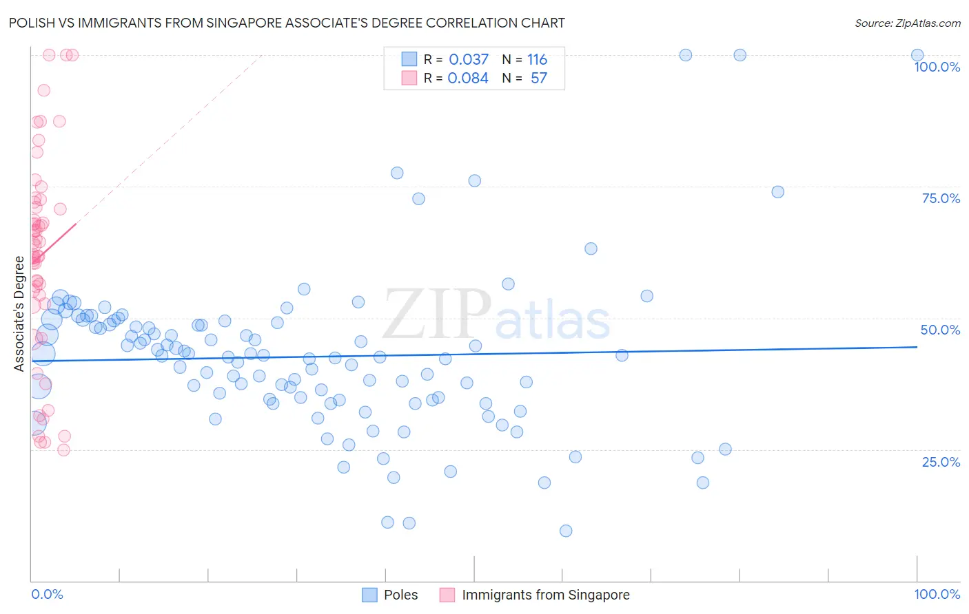 Polish vs Immigrants from Singapore Associate's Degree