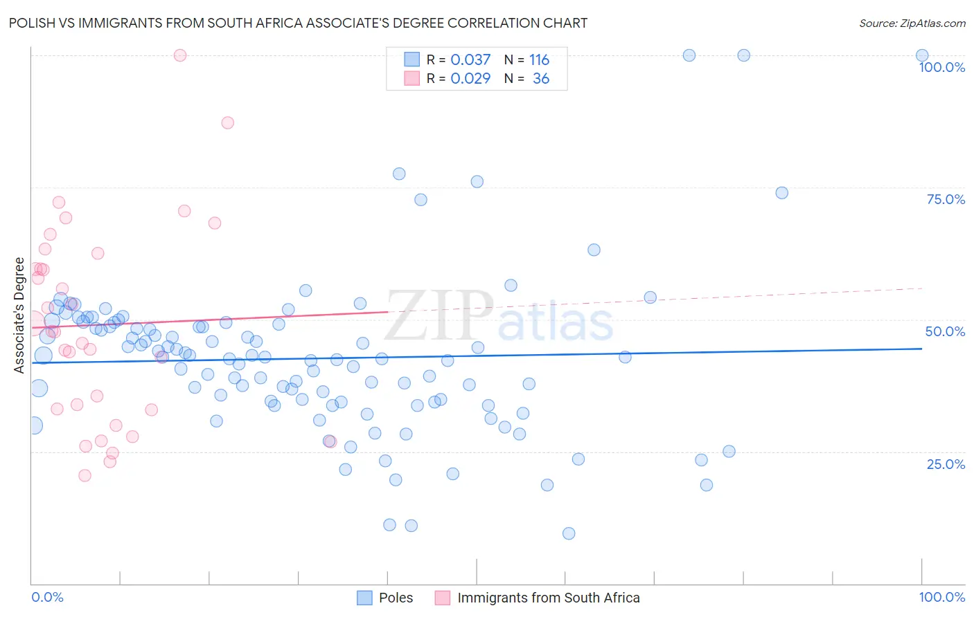 Polish vs Immigrants from South Africa Associate's Degree