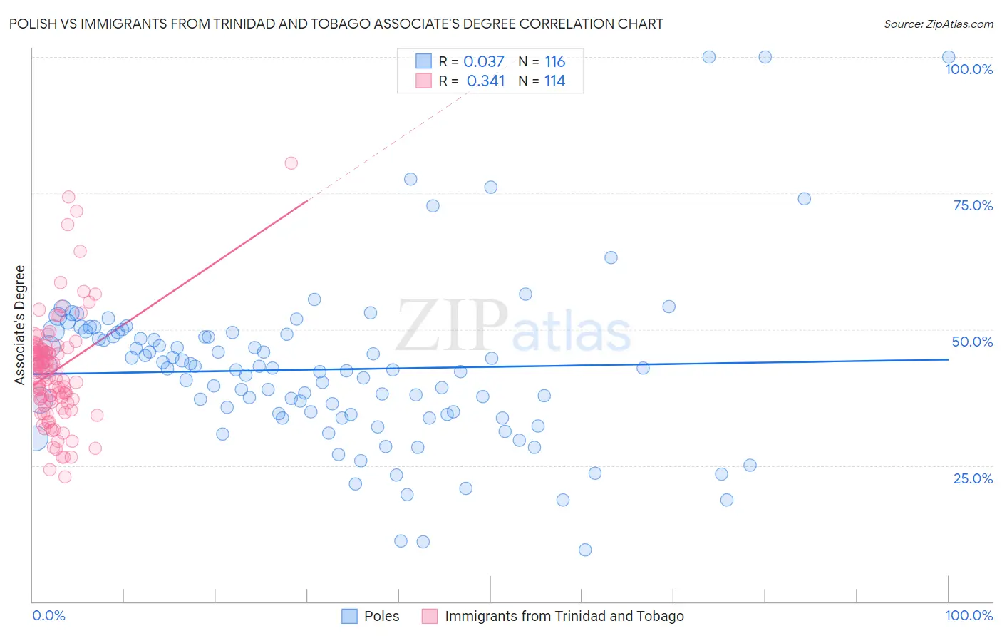 Polish vs Immigrants from Trinidad and Tobago Associate's Degree