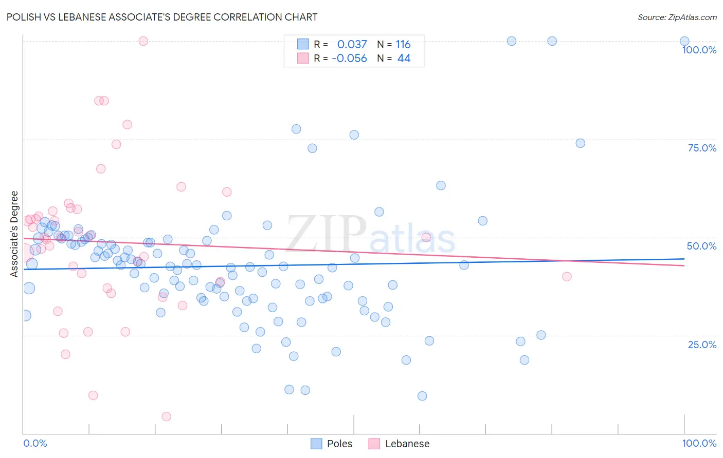 Polish vs Lebanese Associate's Degree