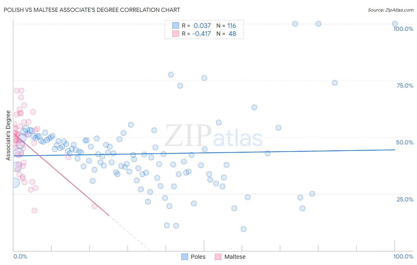Polish vs Maltese Associate's Degree