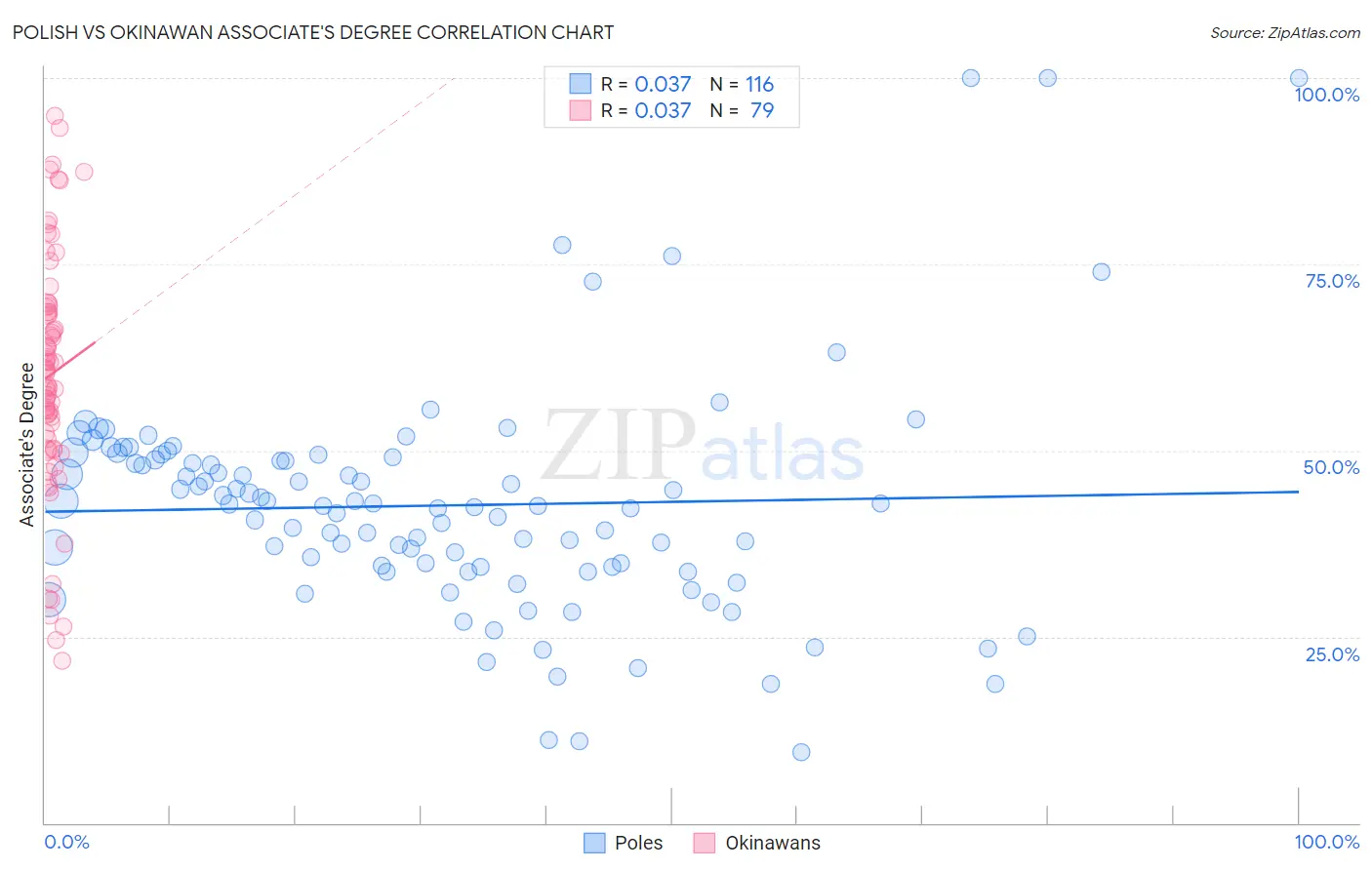 Polish vs Okinawan Associate's Degree