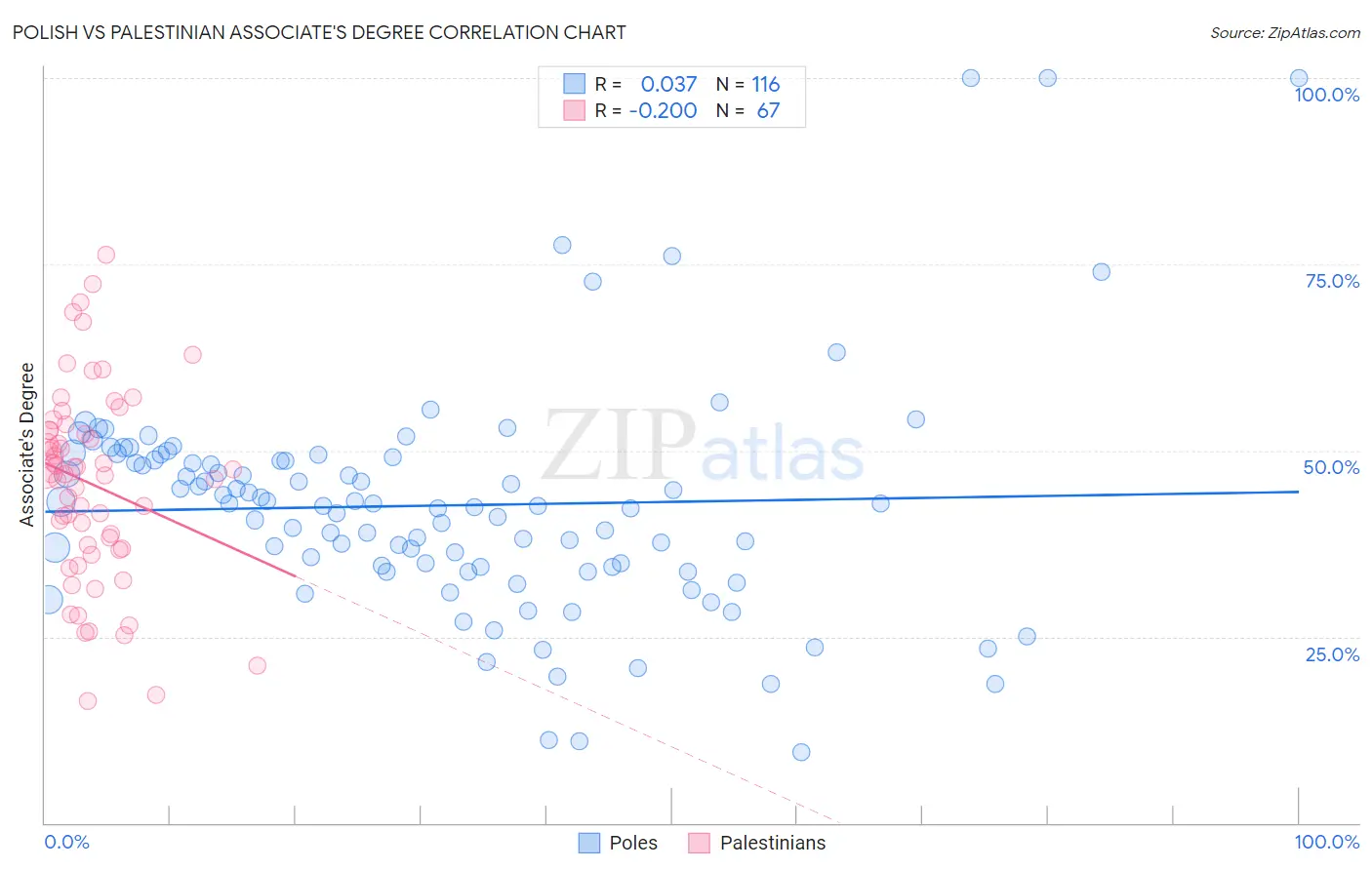 Polish vs Palestinian Associate's Degree