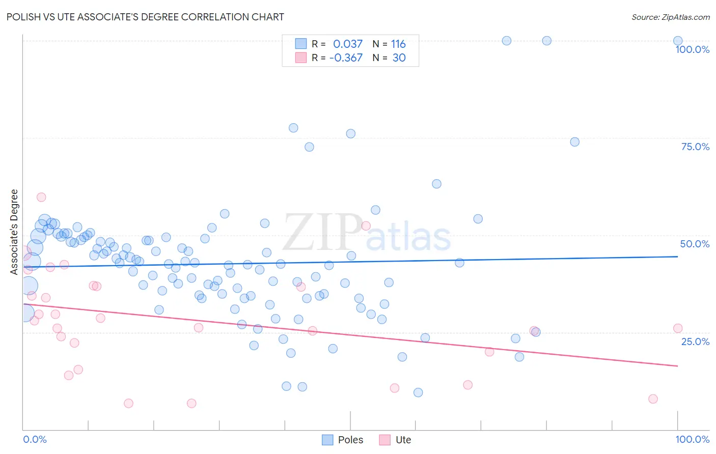 Polish vs Ute Associate's Degree