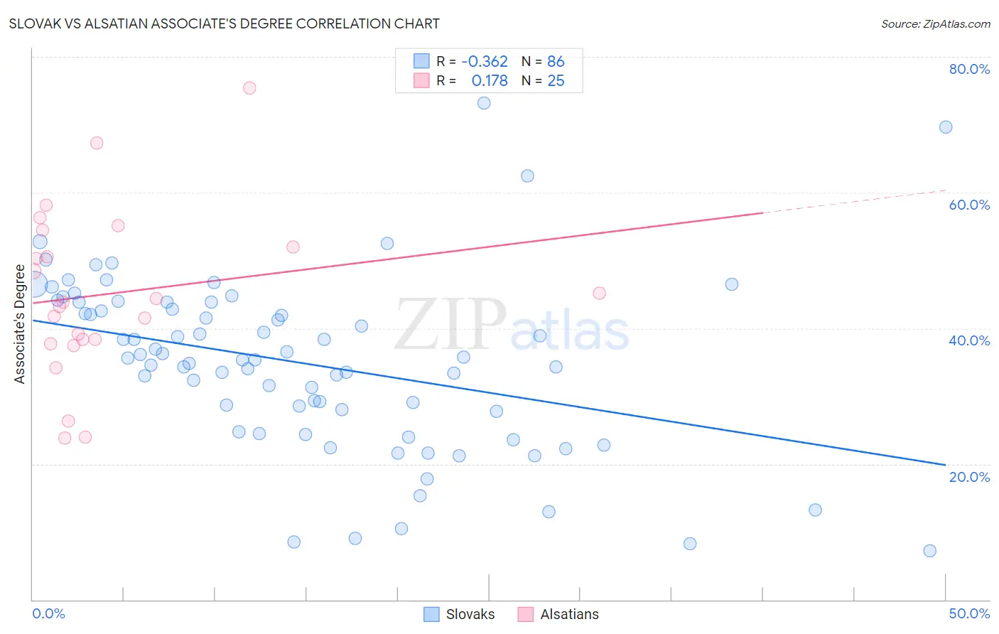 Slovak vs Alsatian Associate's Degree