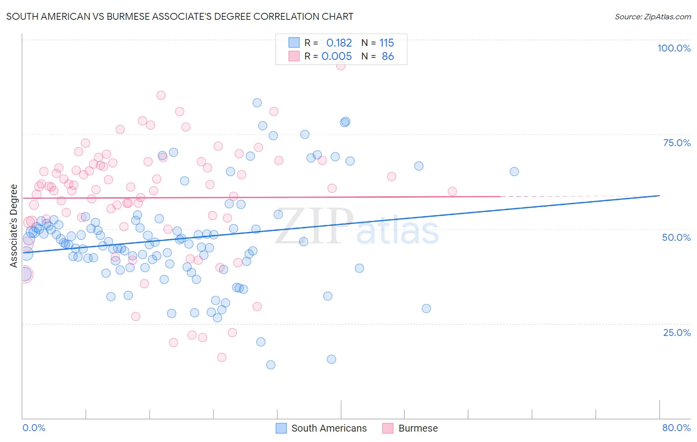 South American vs Burmese Associate's Degree