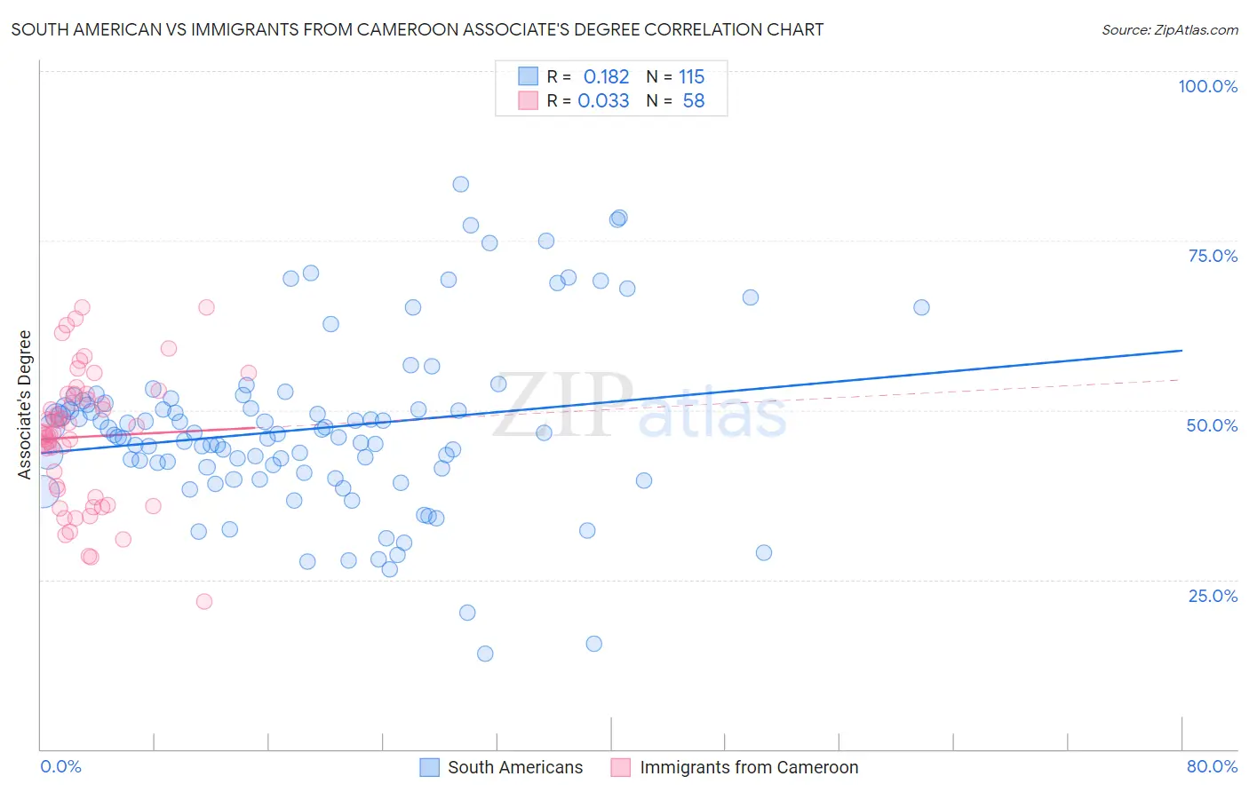 South American vs Immigrants from Cameroon Associate's Degree