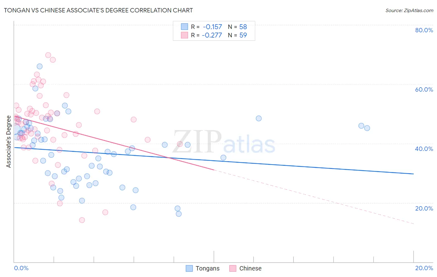 Tongan vs Chinese Associate's Degree