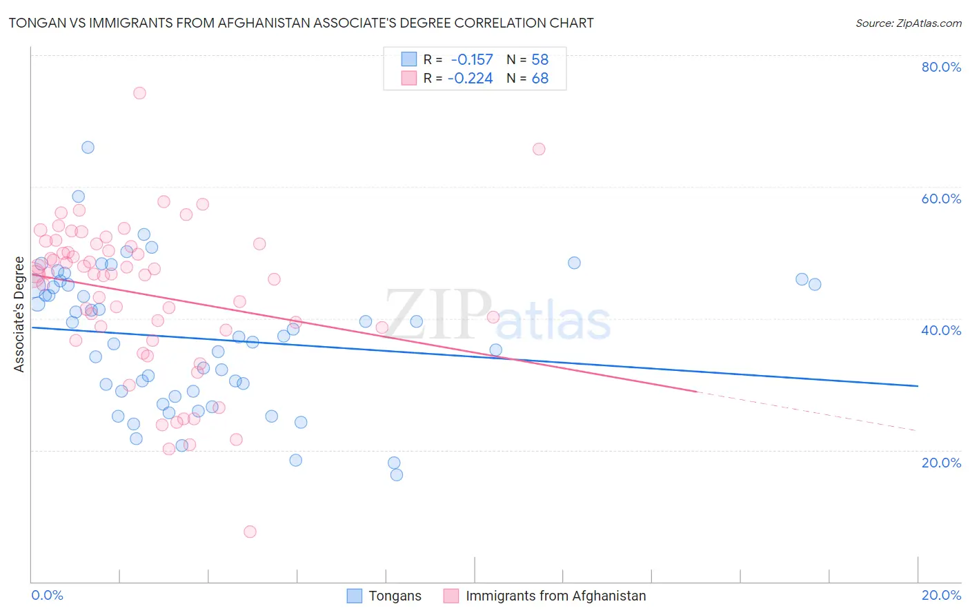 Tongan vs Immigrants from Afghanistan Associate's Degree