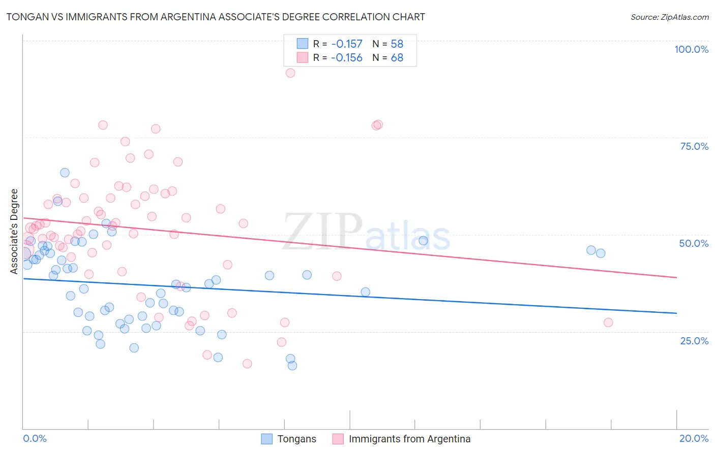 Tongan vs Immigrants from Argentina Associate's Degree