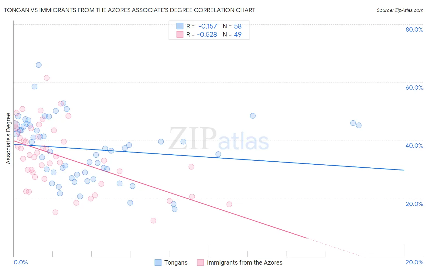 Tongan vs Immigrants from the Azores Associate's Degree