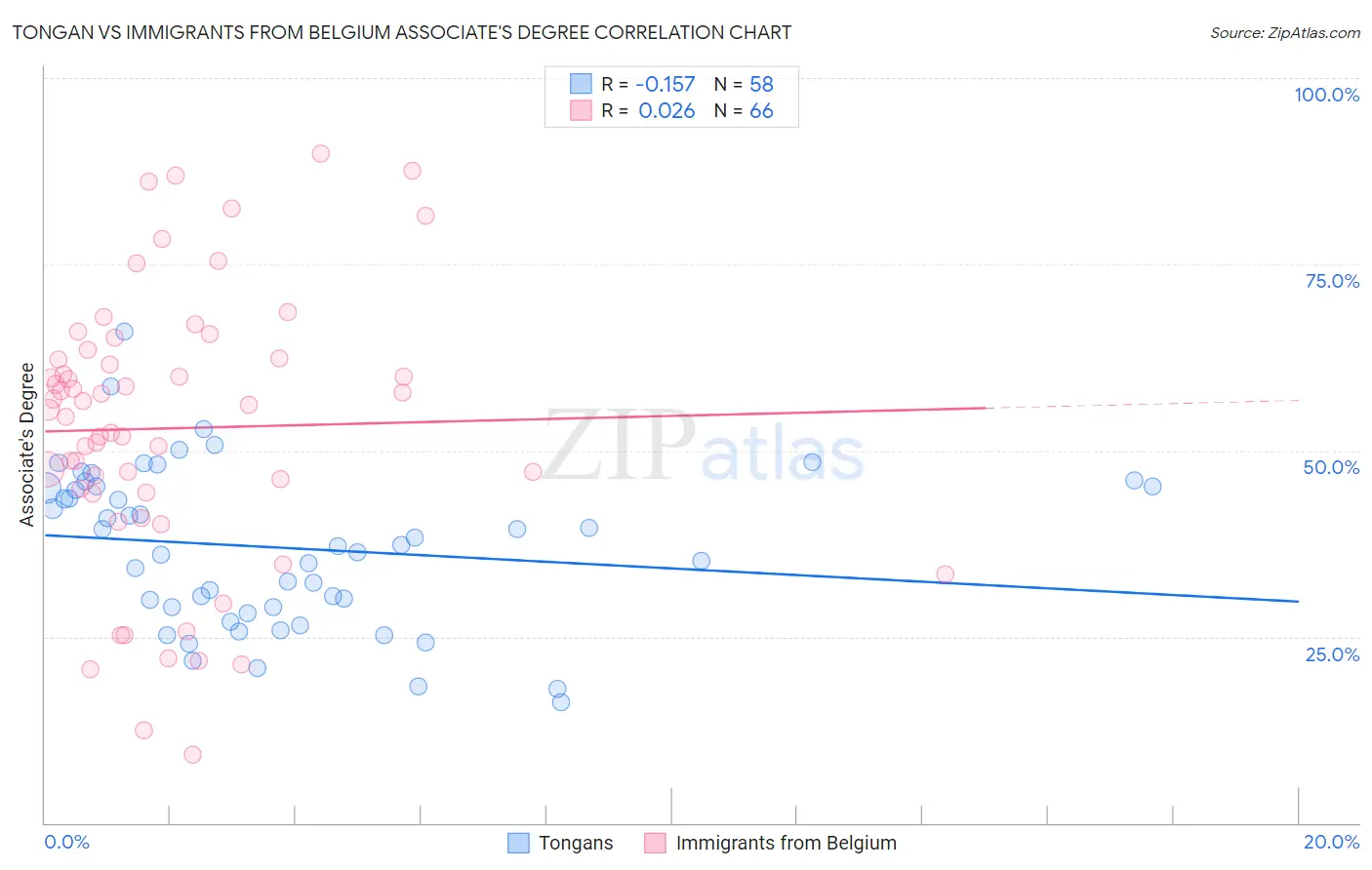 Tongan vs Immigrants from Belgium Associate's Degree