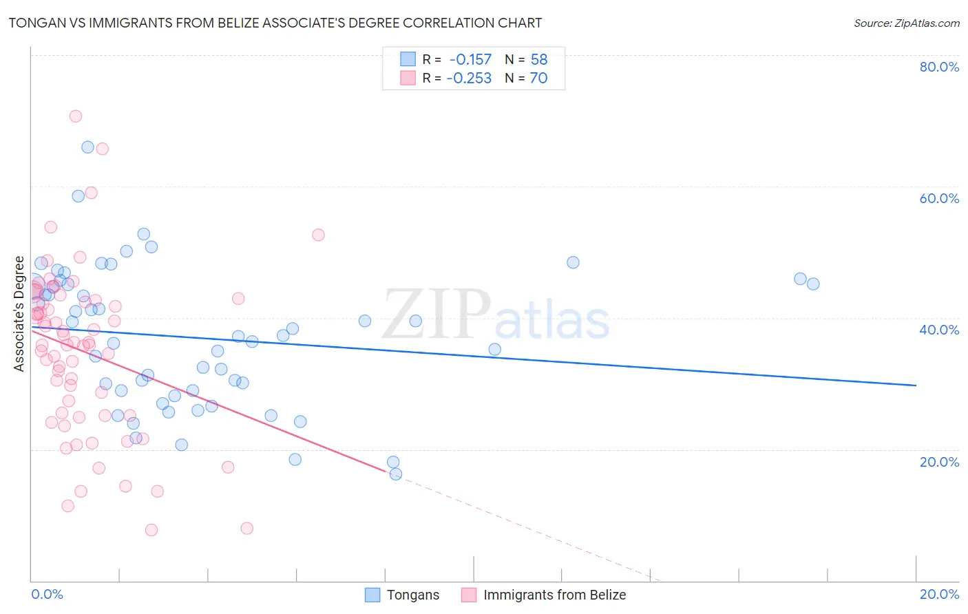 Tongan vs Immigrants from Belize Associate's Degree