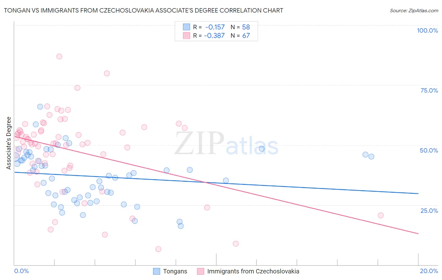 Tongan vs Immigrants from Czechoslovakia Associate's Degree