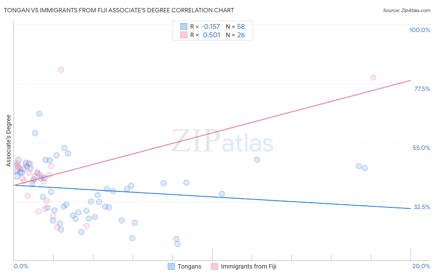 Tongan vs Immigrants from Fiji Associate's Degree