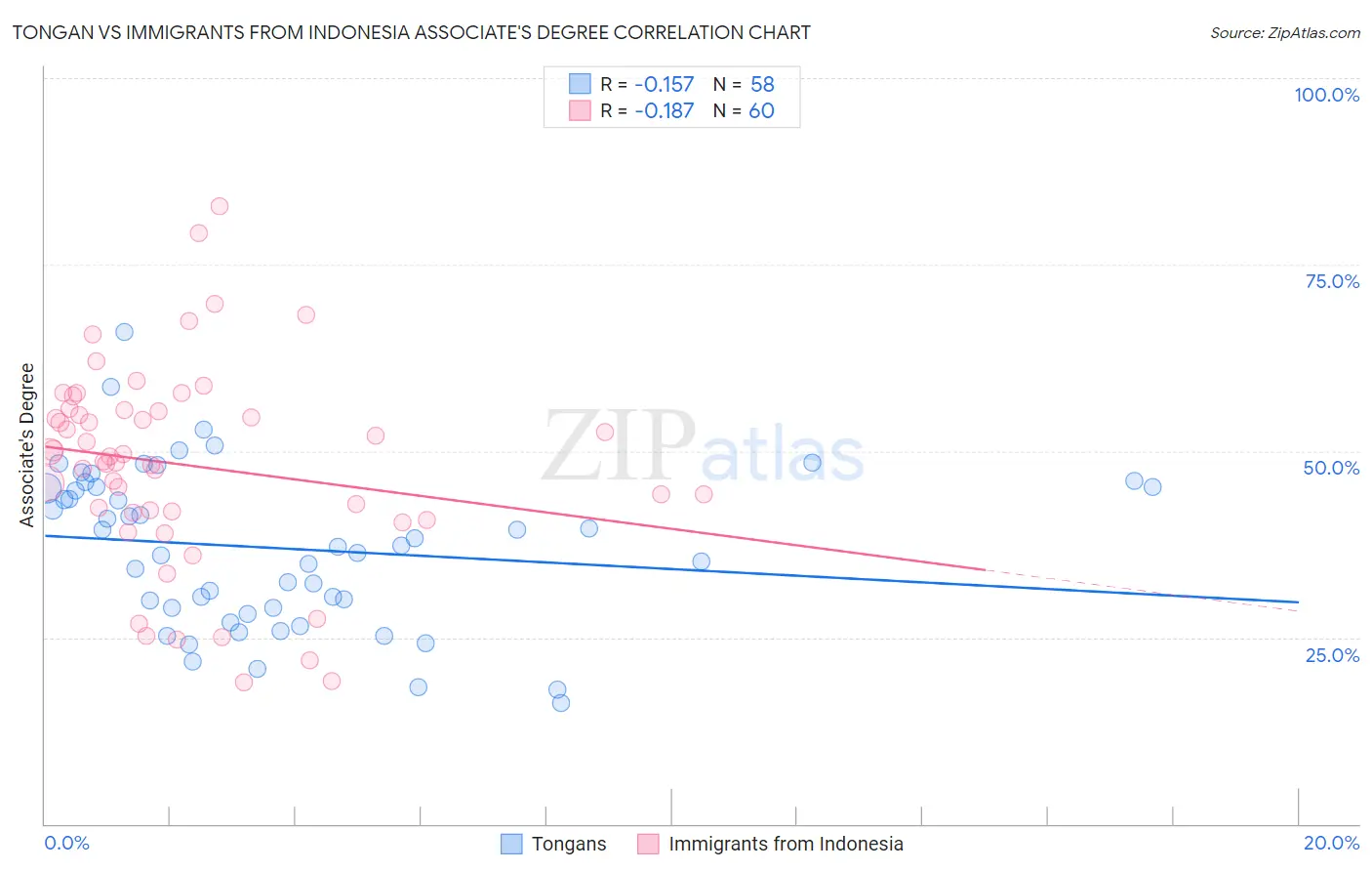 Tongan vs Immigrants from Indonesia Associate's Degree