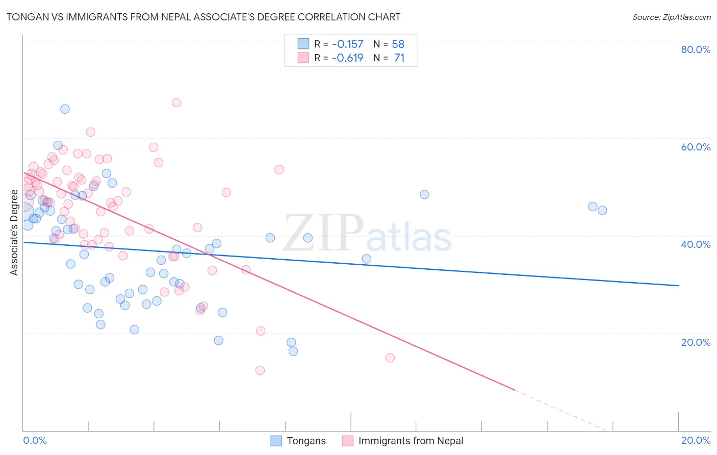 Tongan vs Immigrants from Nepal Associate's Degree