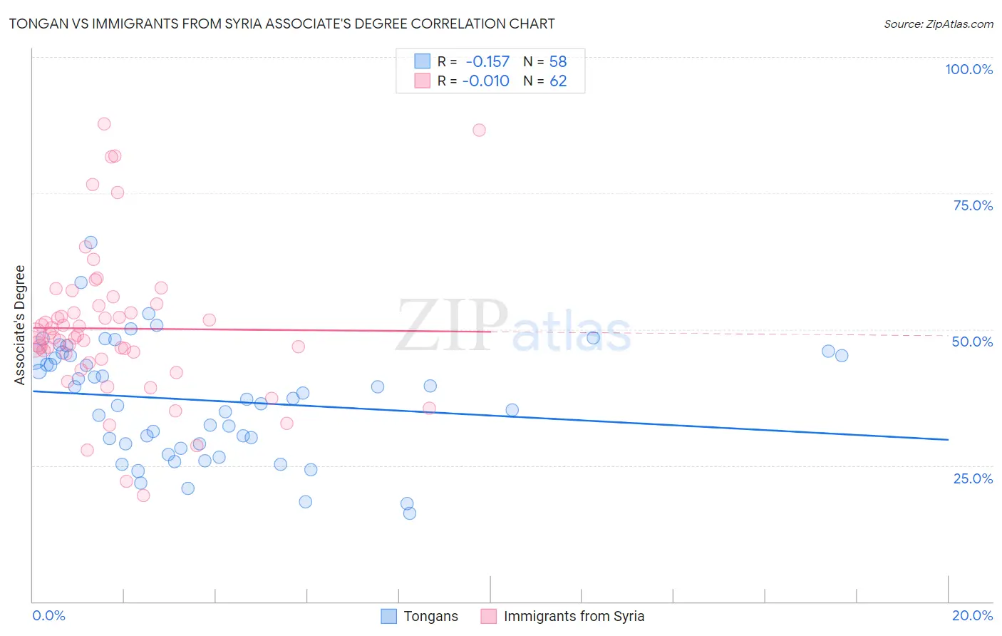 Tongan vs Immigrants from Syria Associate's Degree