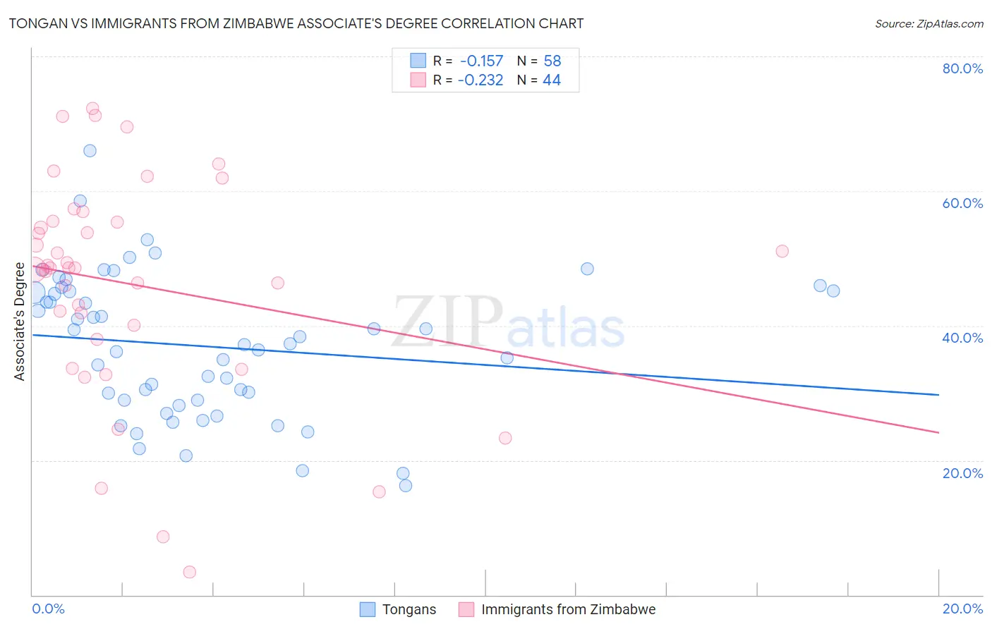 Tongan vs Immigrants from Zimbabwe Associate's Degree