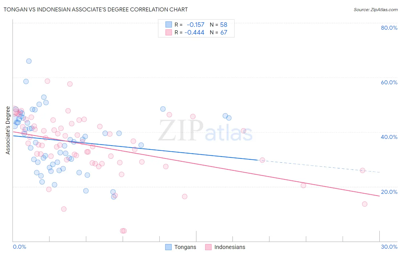 Tongan vs Indonesian Associate's Degree