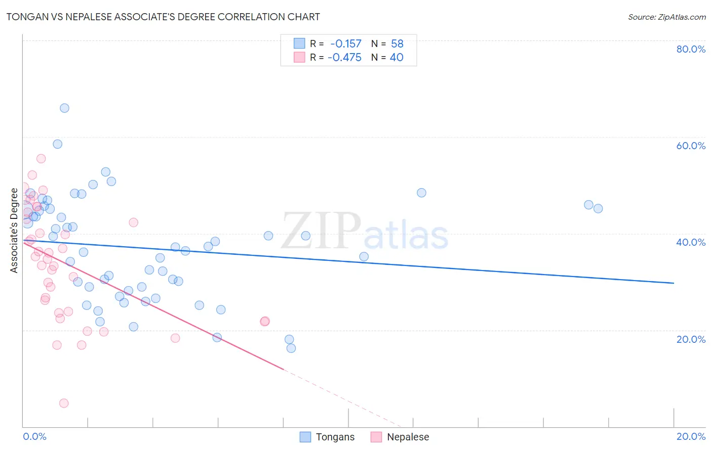 Tongan vs Nepalese Associate's Degree