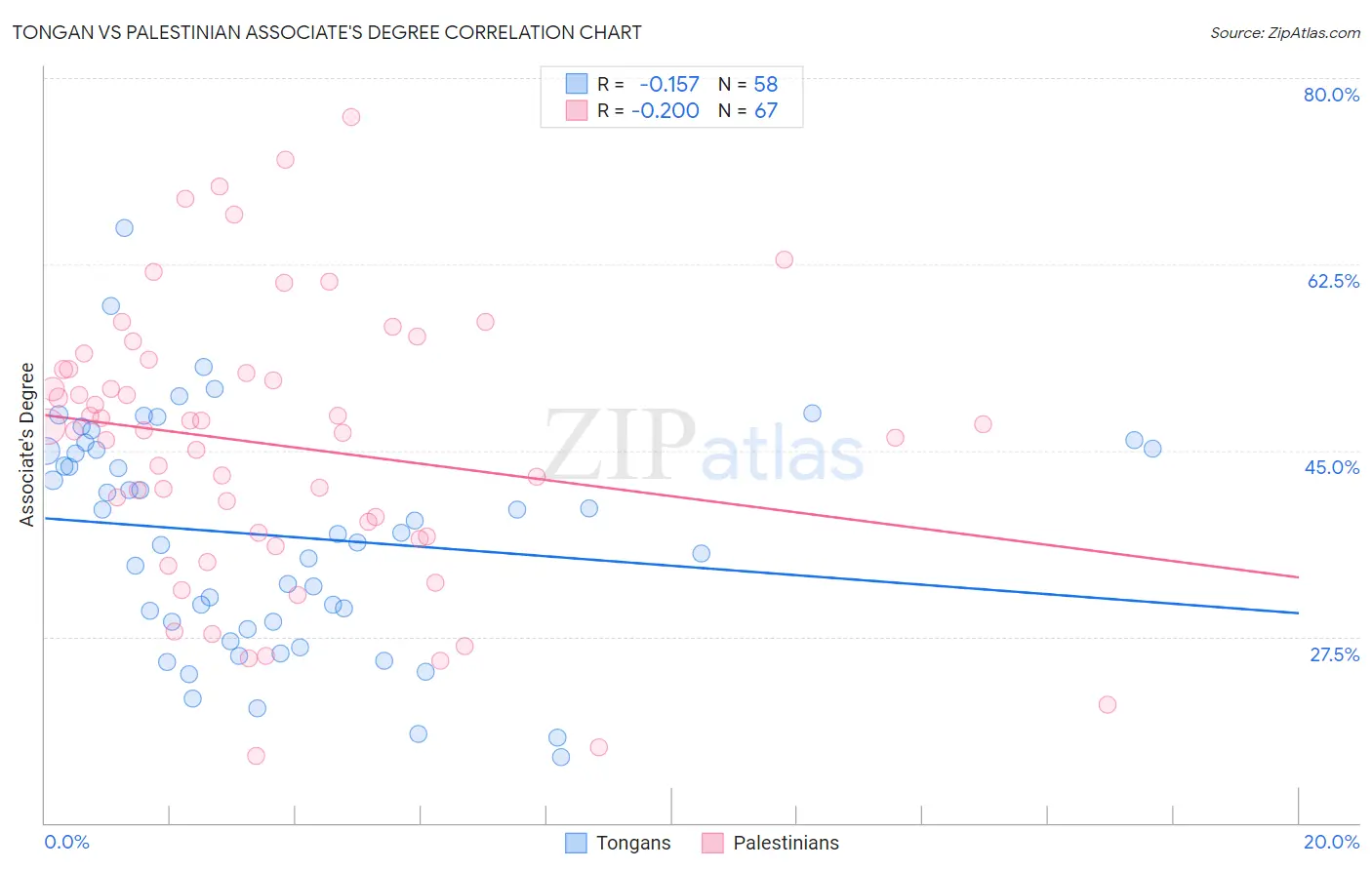 Tongan vs Palestinian Associate's Degree