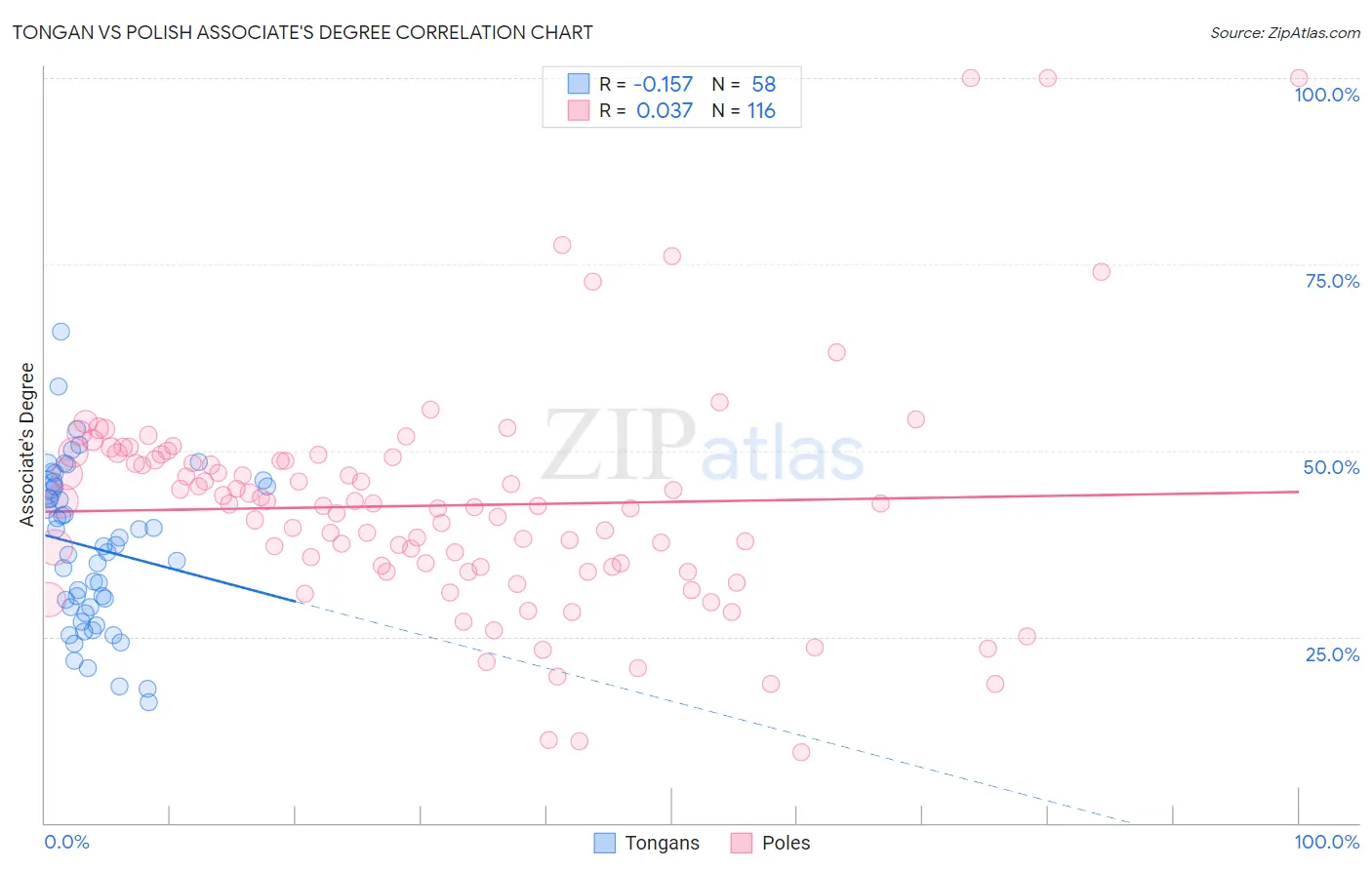 Tongan vs Polish Associate's Degree