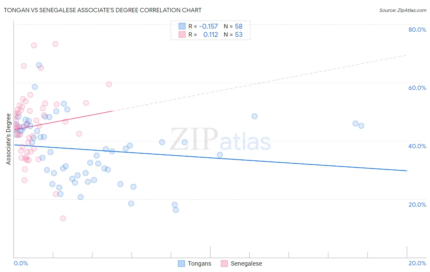 Tongan vs Senegalese Associate's Degree