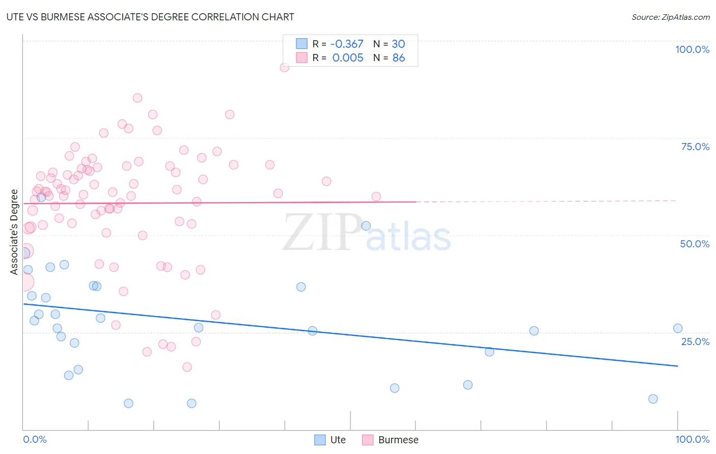 Ute vs Burmese Associate's Degree