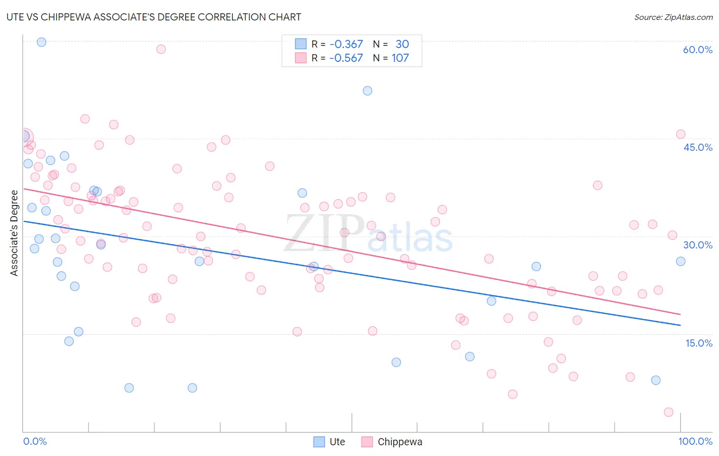 Ute vs Chippewa Associate's Degree