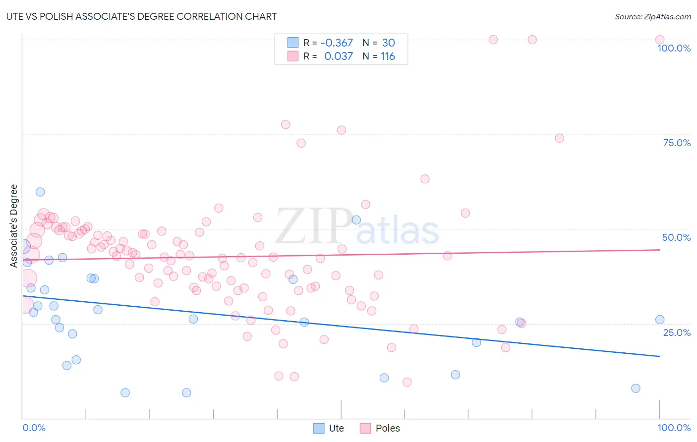 Ute vs Polish Associate's Degree