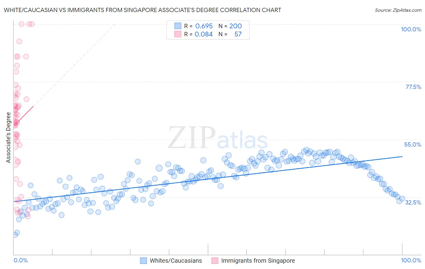 White/Caucasian vs Immigrants from Singapore Associate's Degree