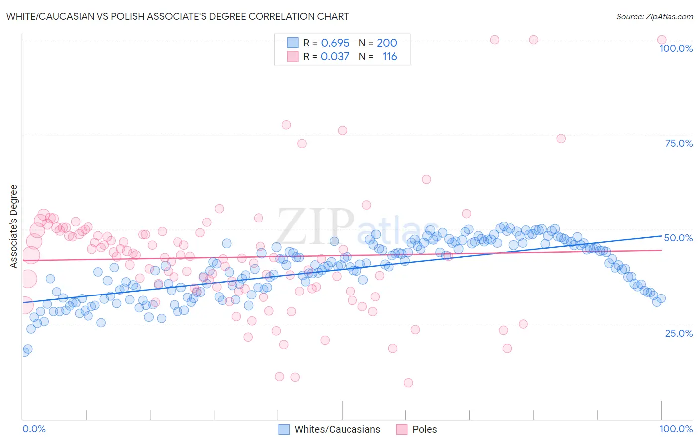 White/Caucasian vs Polish Associate's Degree