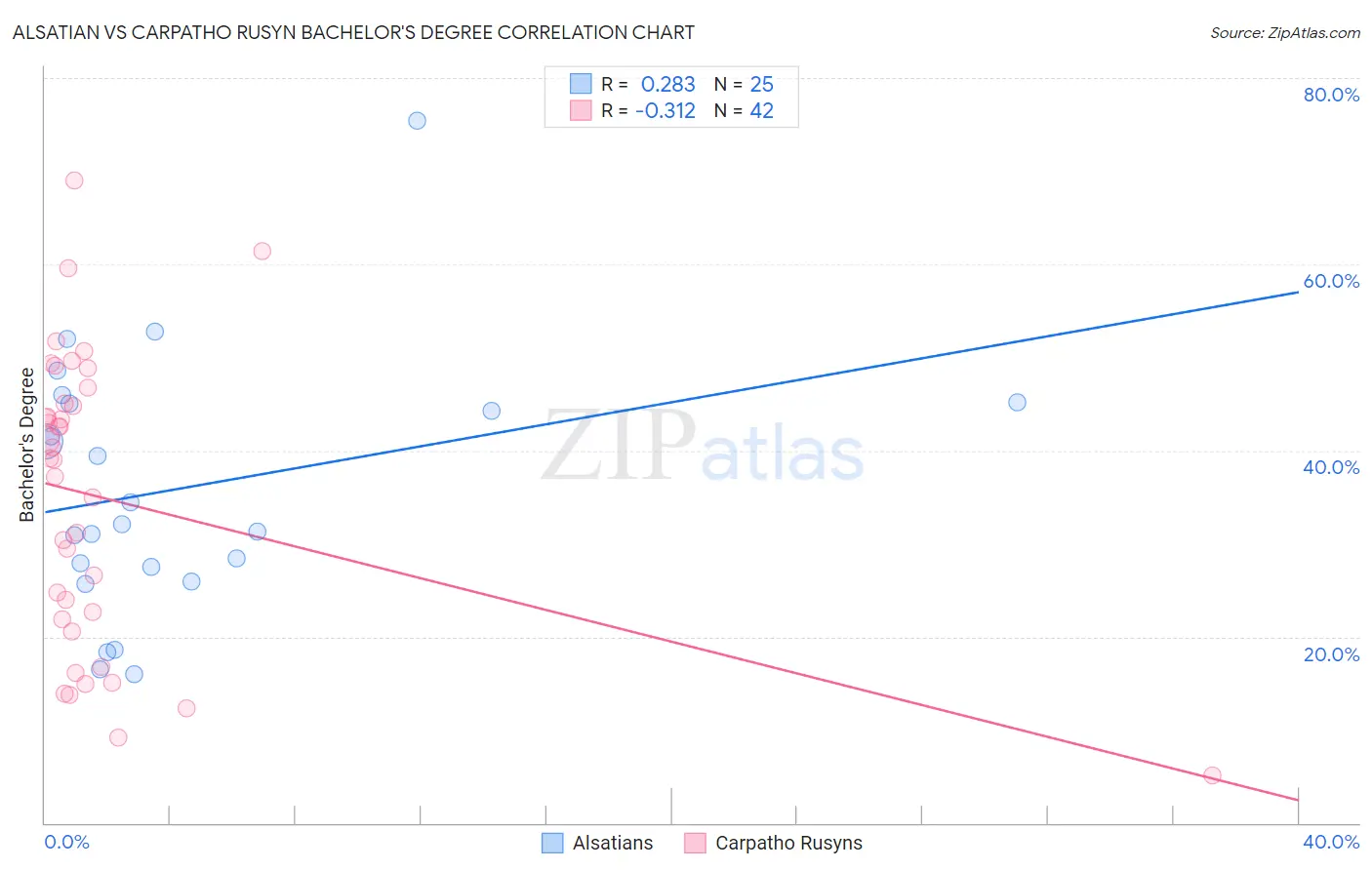Alsatian vs Carpatho Rusyn Bachelor's Degree