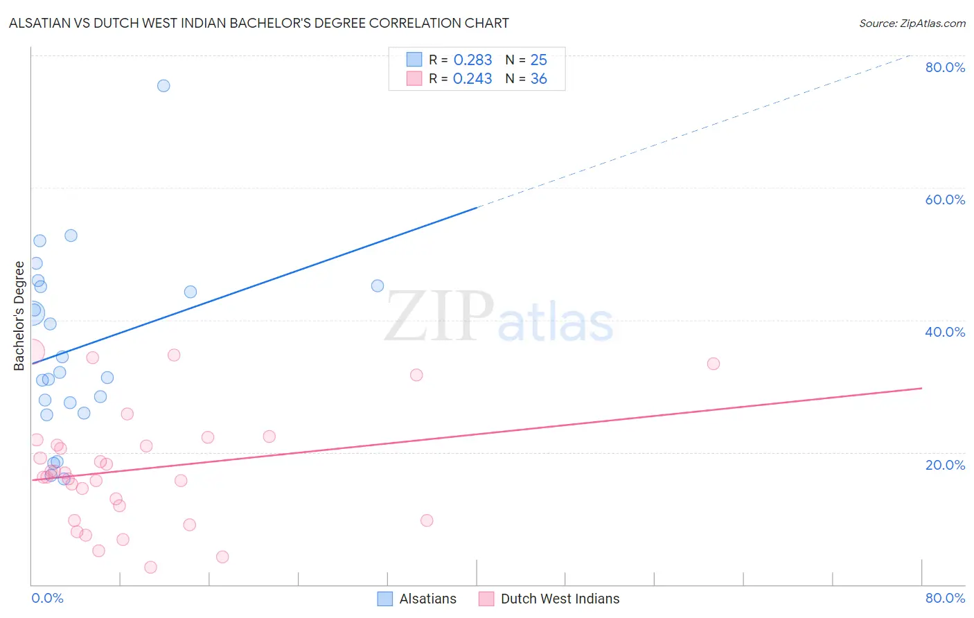 Alsatian vs Dutch West Indian Bachelor's Degree