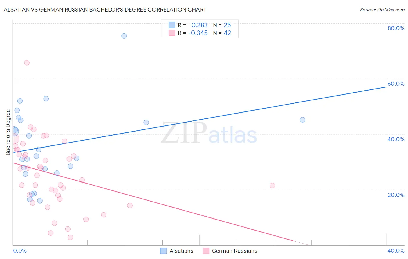 Alsatian vs German Russian Bachelor's Degree