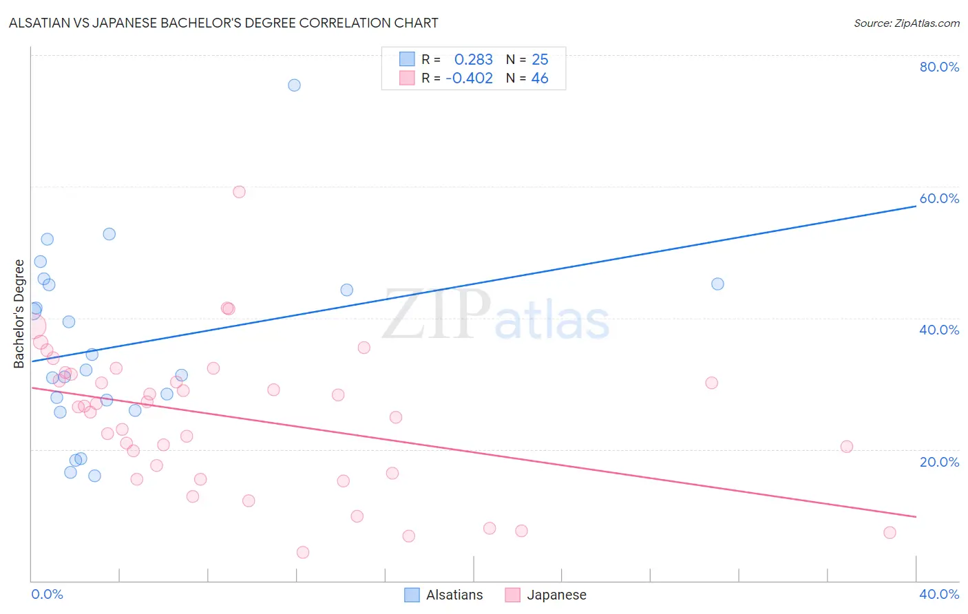 Alsatian vs Japanese Bachelor's Degree