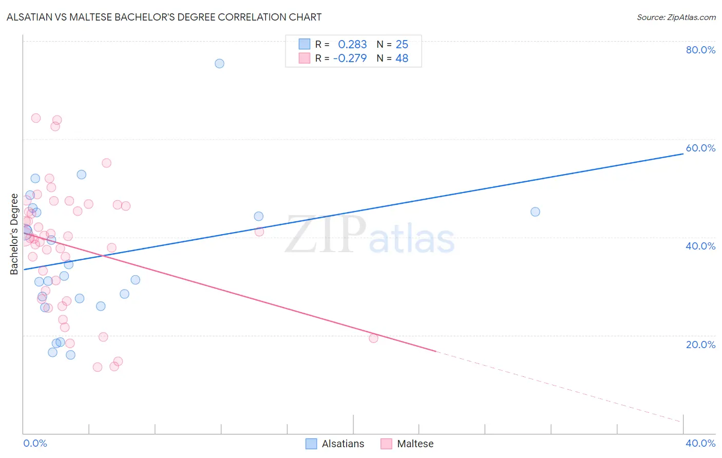 Alsatian vs Maltese Bachelor's Degree