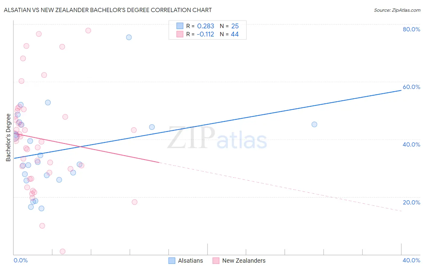 Alsatian vs New Zealander Bachelor's Degree