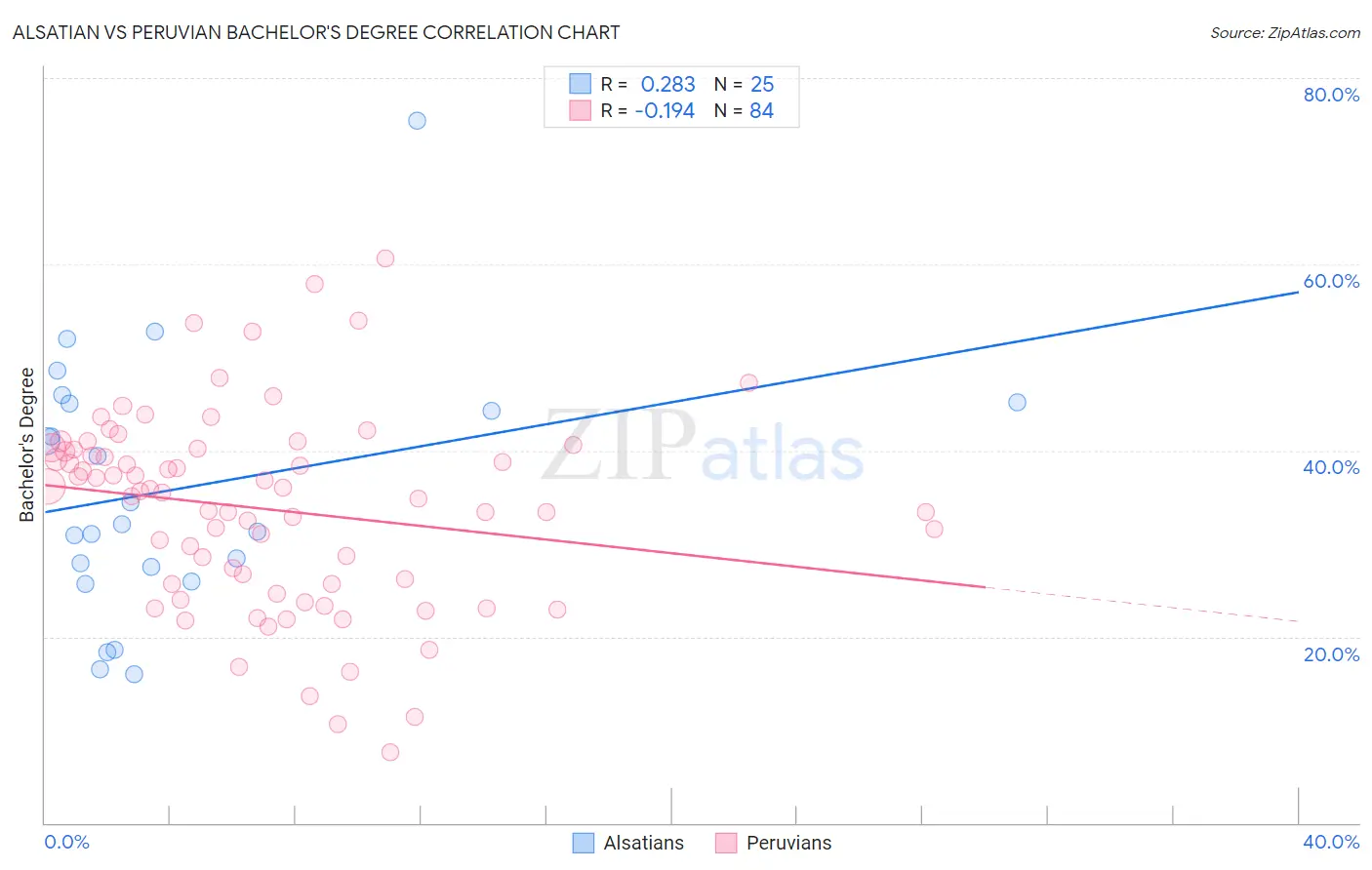 Alsatian vs Peruvian Bachelor's Degree