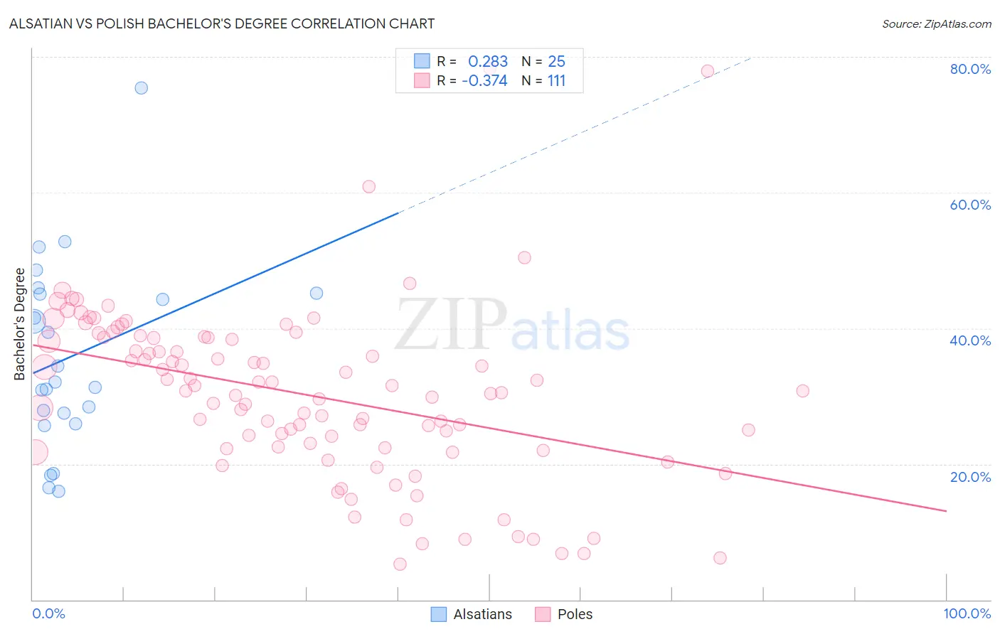 Alsatian vs Polish Bachelor's Degree