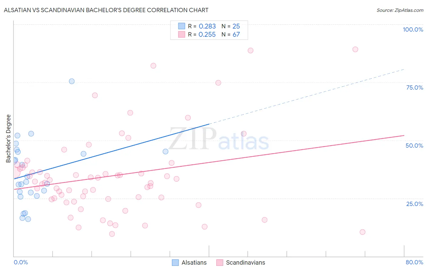 Alsatian vs Scandinavian Bachelor's Degree