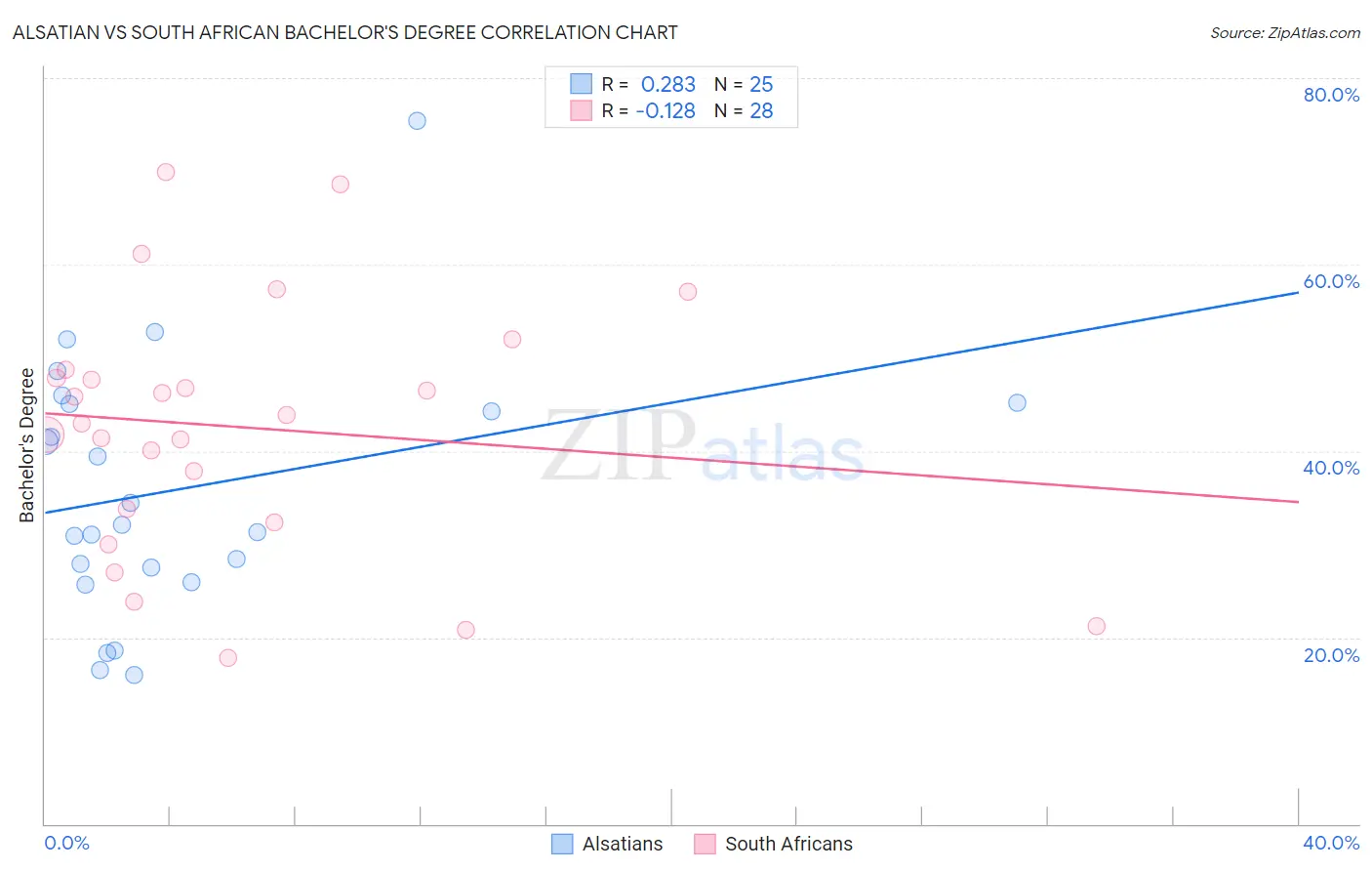 Alsatian vs South African Bachelor's Degree