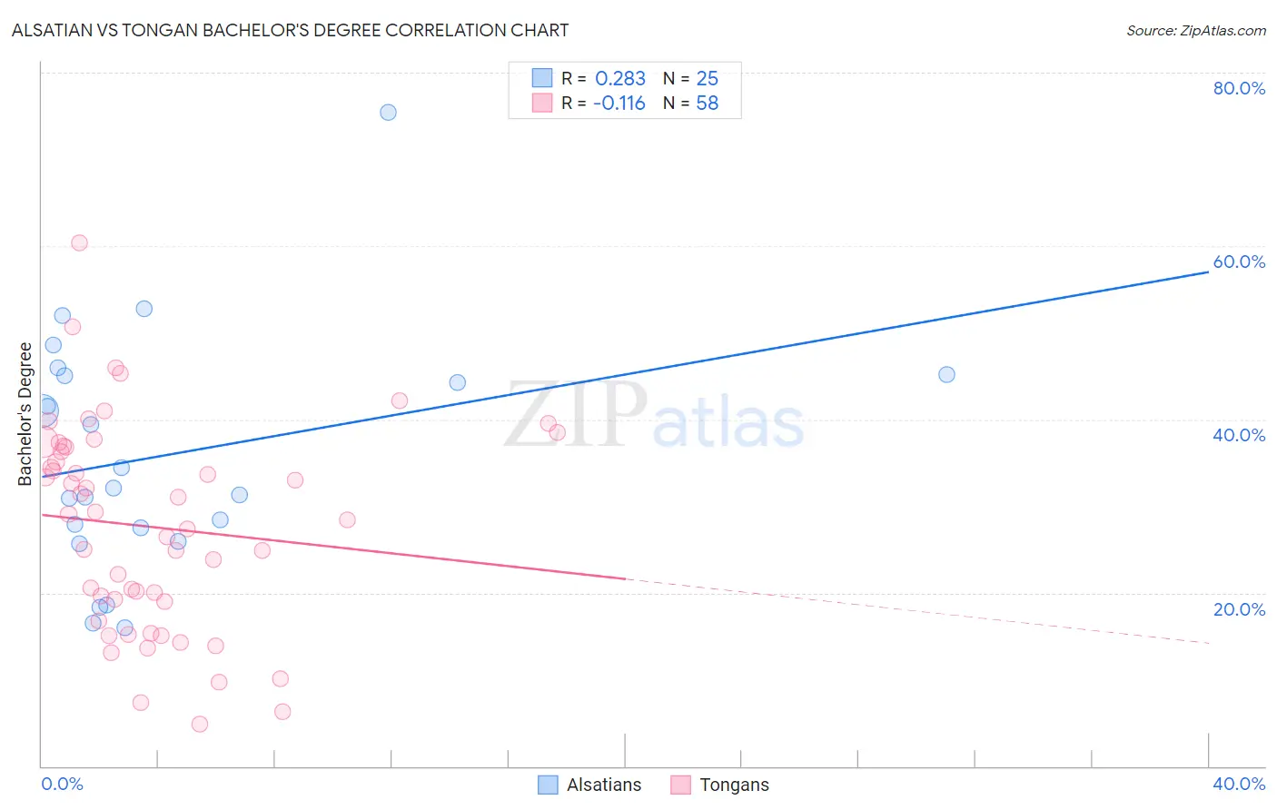 Alsatian vs Tongan Bachelor's Degree