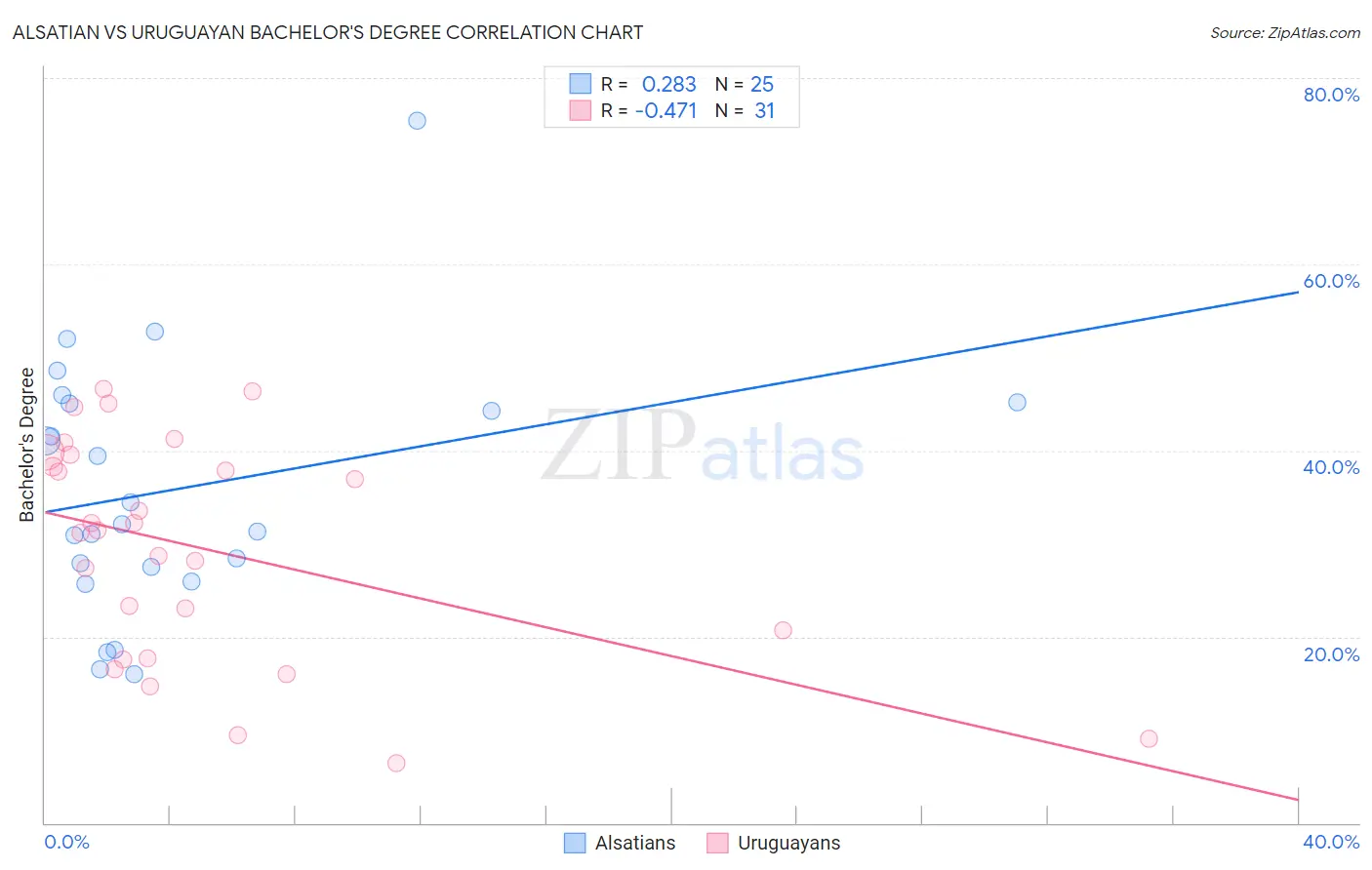 Alsatian vs Uruguayan Bachelor's Degree