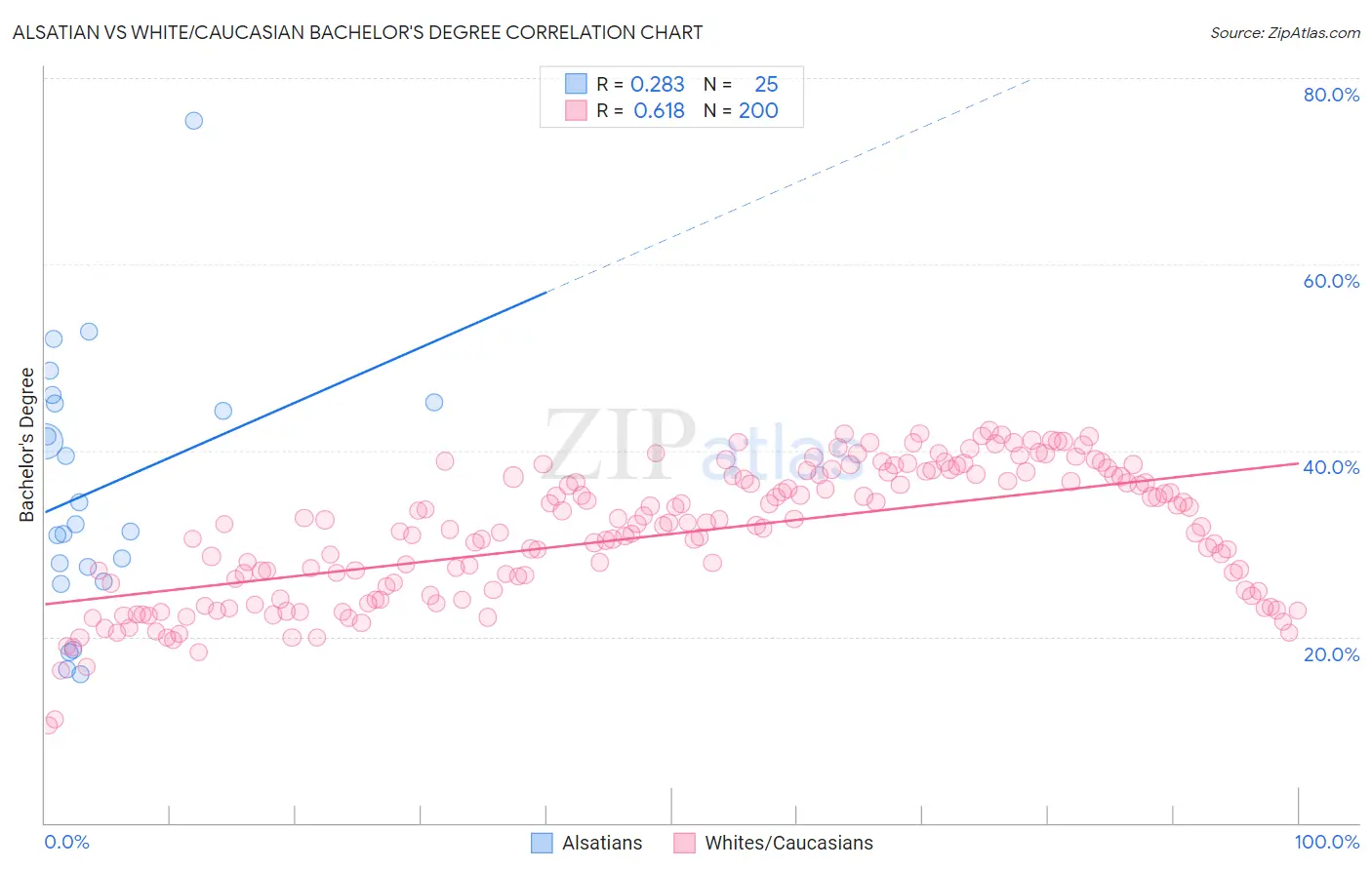 Alsatian vs White/Caucasian Bachelor's Degree