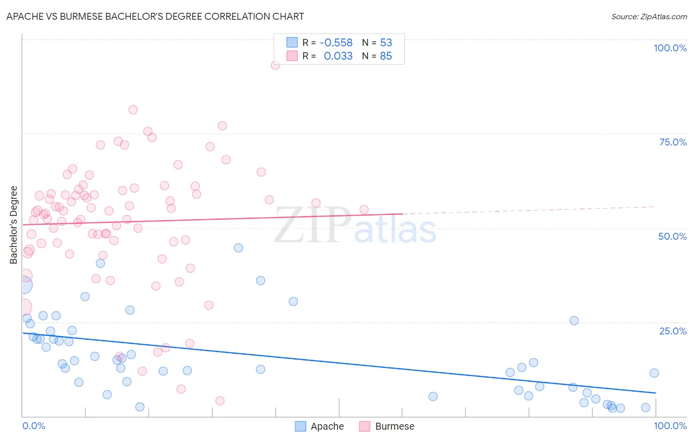 Apache vs Burmese Bachelor's Degree